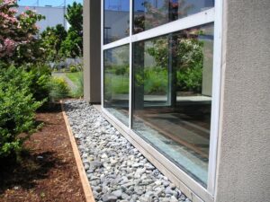 Reflection of trees and sky in large windows of a building, next to a landscaped area with rocks, soil, and green bushes.